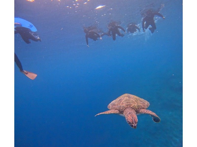 Tomorl のギャラリー