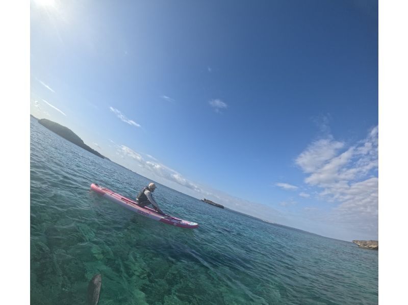 イケメンパラダイス　宮古島 のギャラリー