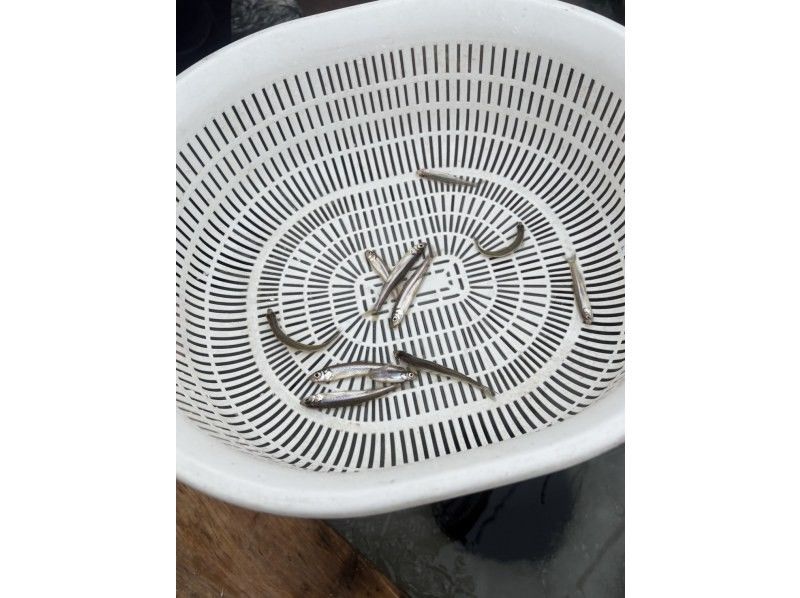 サイクリングフロンティア北海道/フロンティアフィッシングツアーズ（株式会社サイクリングフロンティア） のギャラリー