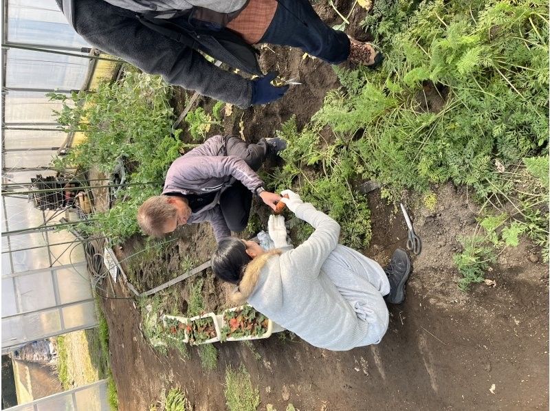 虫生の竈 のギャラリー