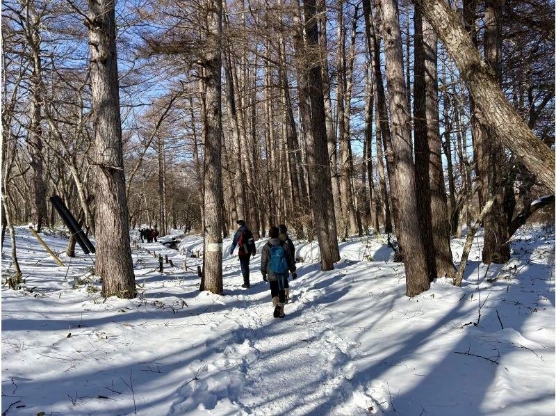株式会社日光自然博物館 のギャラリー