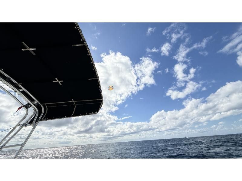 Sea World（シーワールド） のギャラリー