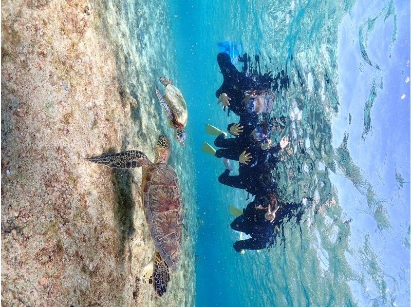 Nami宮古島 のギャラリー