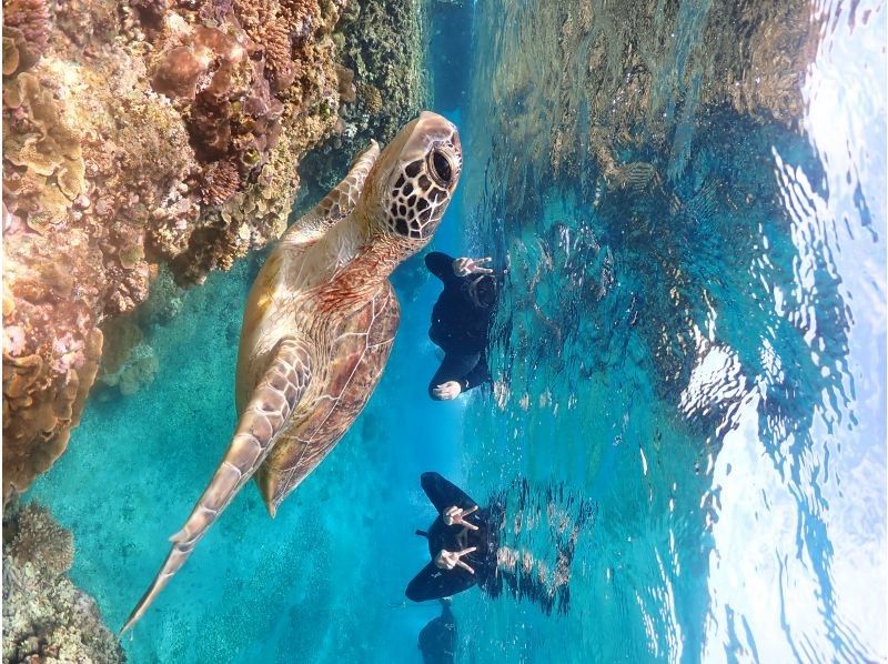 Nami宮古島 のギャラリー