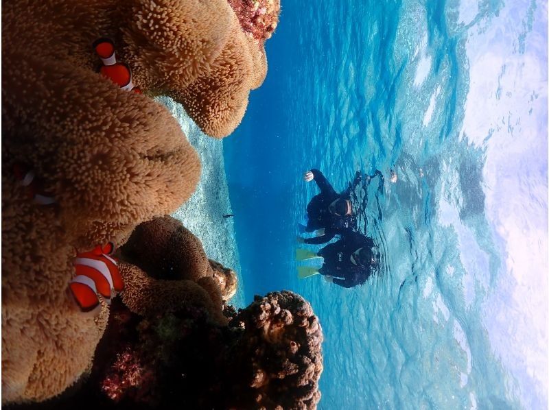 Nami宮古島 のギャラリー