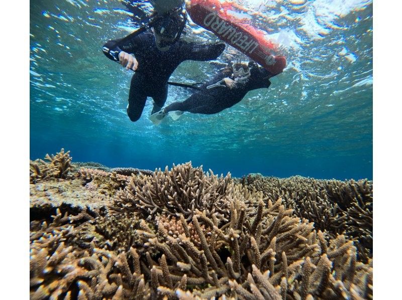 Tomorl のギャラリー