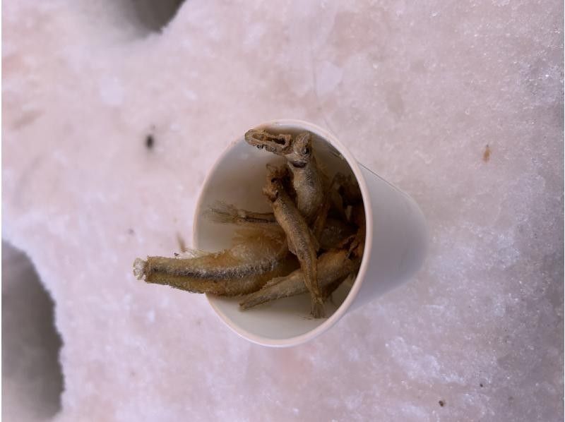 アースアウトドアツアーズ のギャラリー