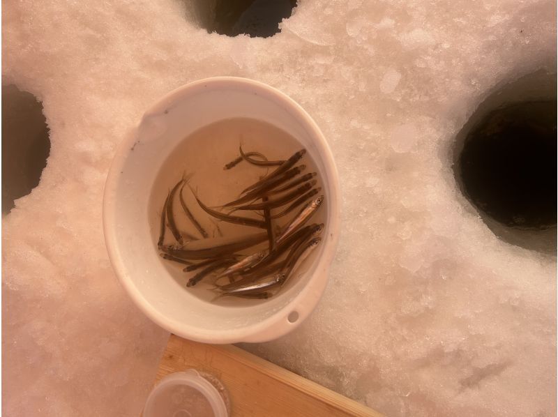 アースアウトドアツアーズ のギャラリー