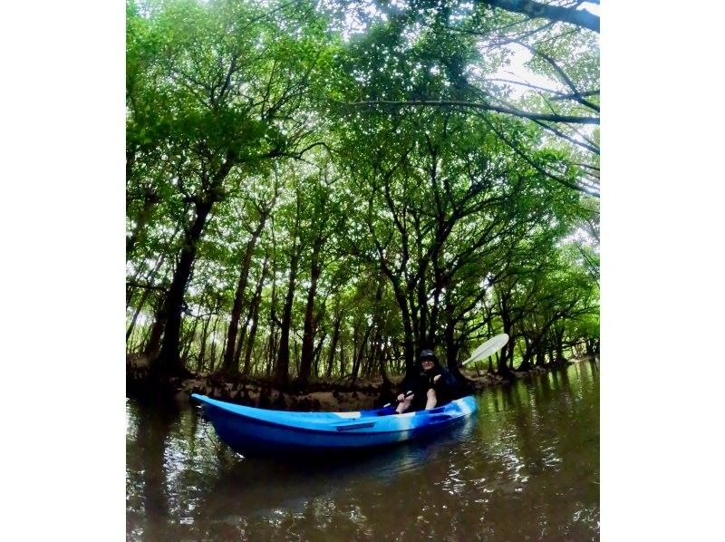 石垣島  ADVENTURE PiPi（ピピ） のギャラリー