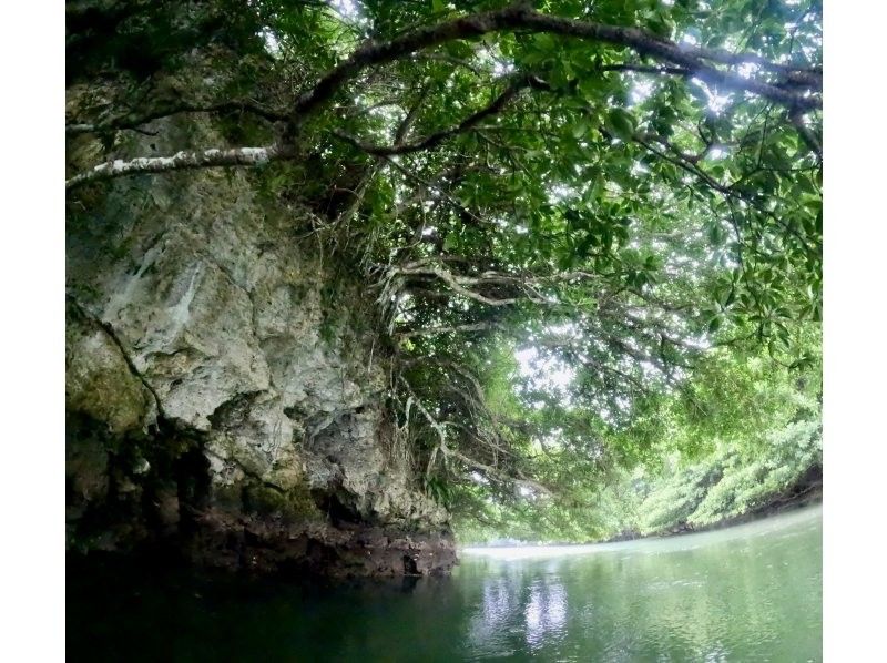 石垣島  ADVENTURE PiPi（ピピ） のギャラリー