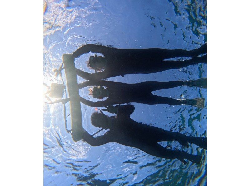 マリンショップしまじかん のギャラリー