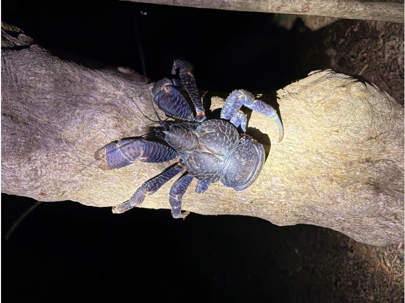 Nami宮古島 のギャラリー