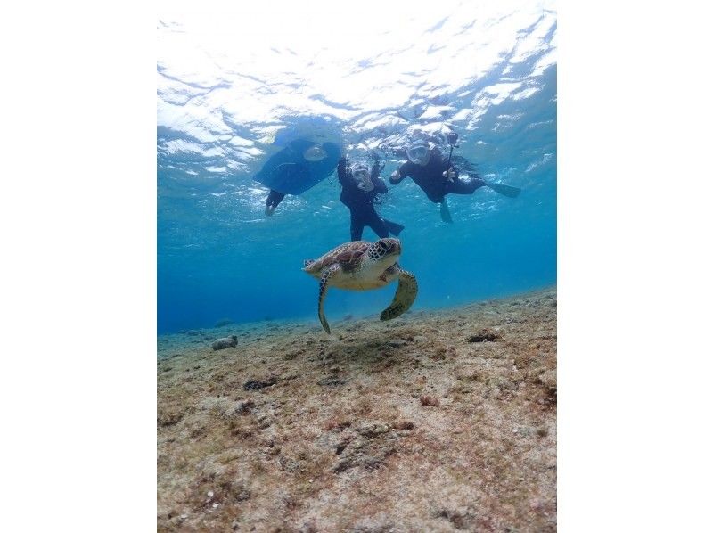 SUNSHINE MARIN 宮古島 のギャラリー