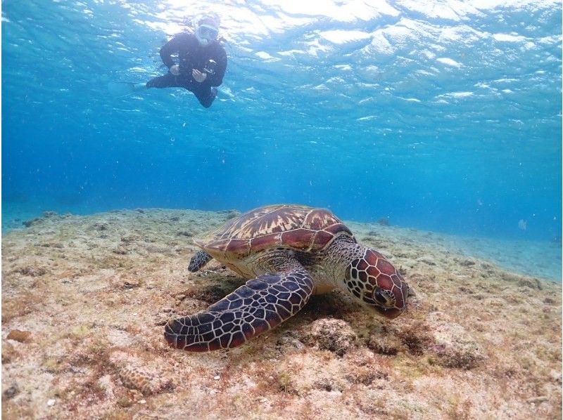 SUNSHINE MARIN 宮古島 のギャラリー