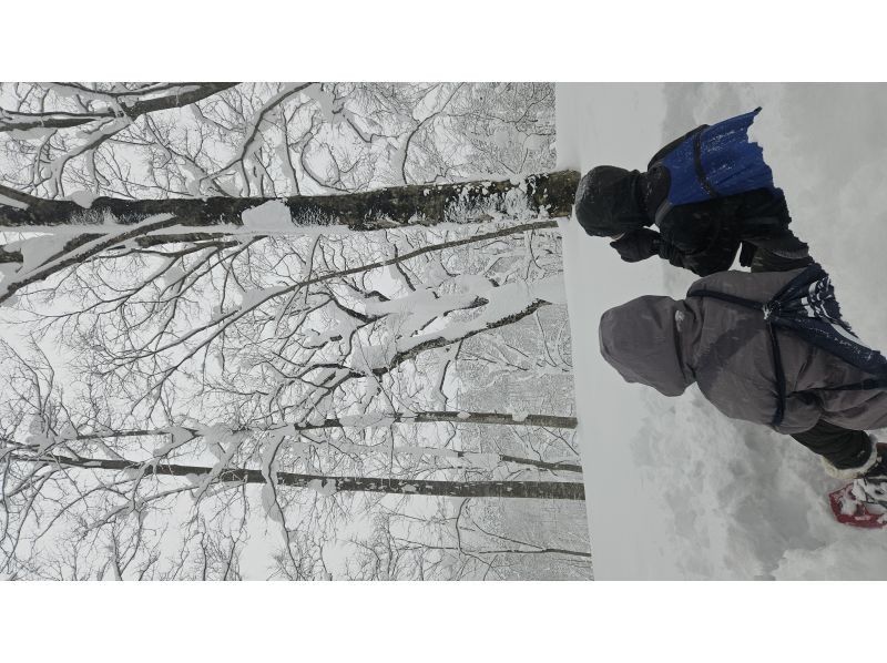 田沢湖アウトドアツアー のギャラリー