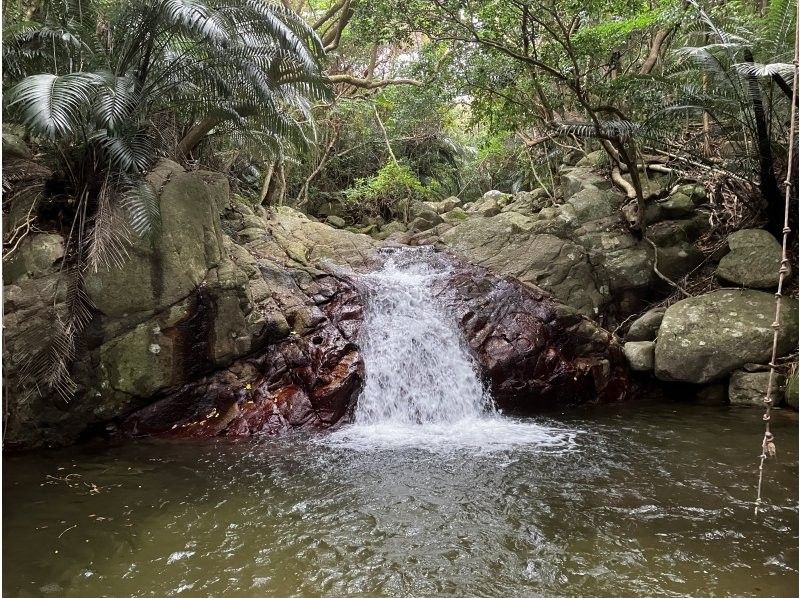 石垣島ツアーガイドAll Blue(オールブルー) のギャラリー