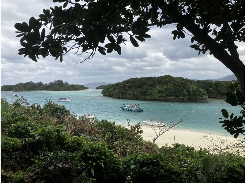 石垣島ツアーガイドAll Blue(オールブルー) のギャラリー