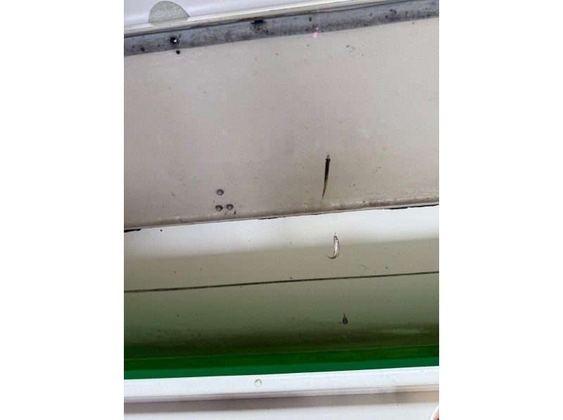 山中湖マリンハウスmomo のギャラリー