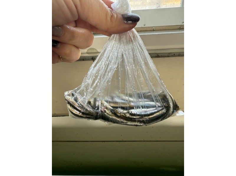 山中湖マリンハウスmomo のギャラリー