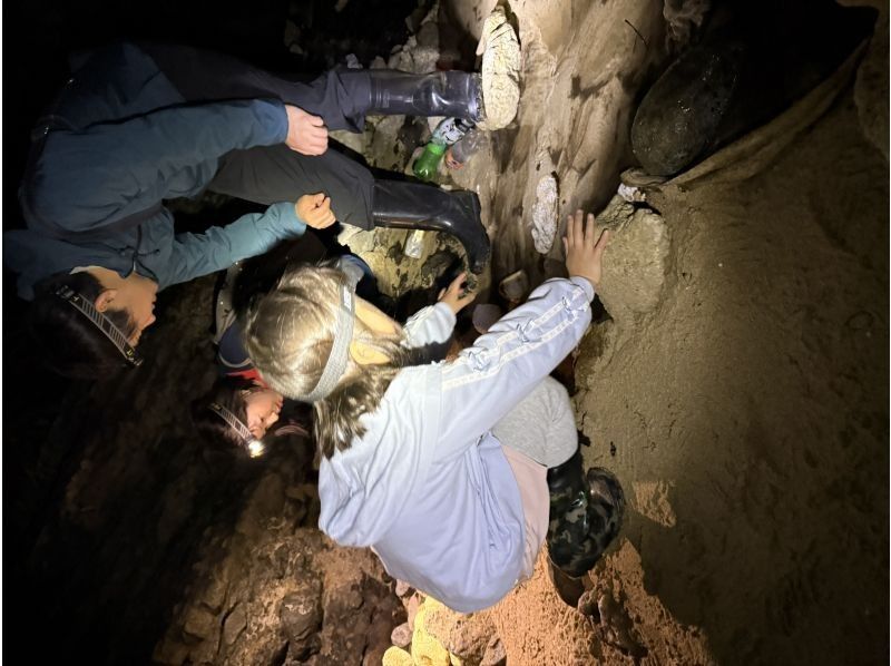 NATURE SHOP PAO のギャラリー