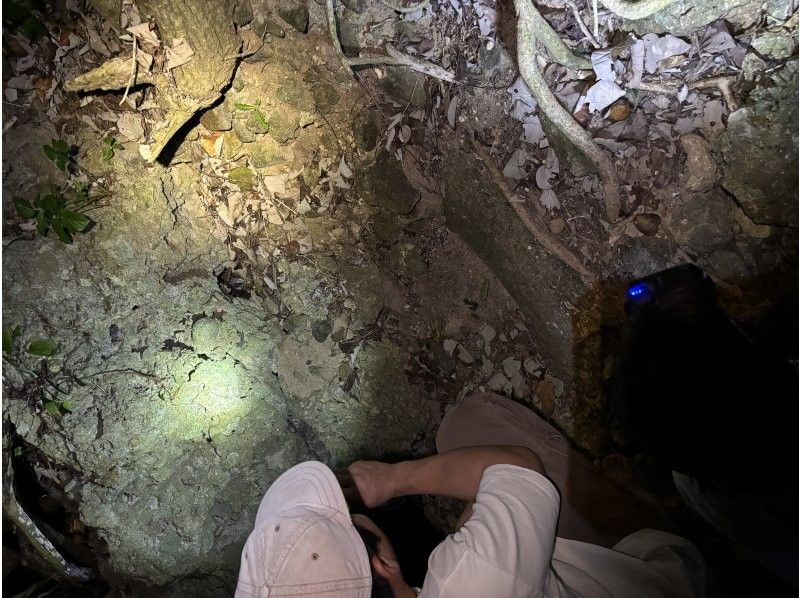 NATURE SHOP PAO のギャラリー