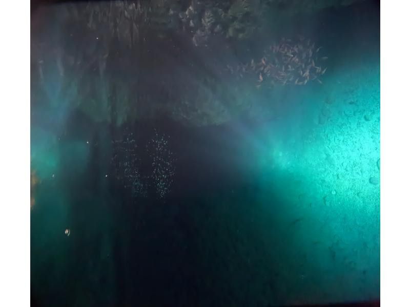 株式会社BLUE SEEK のギャラリー