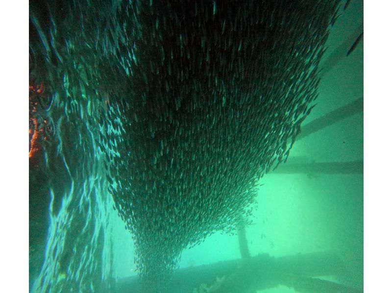 株式会社BLUE SEEK のギャラリー