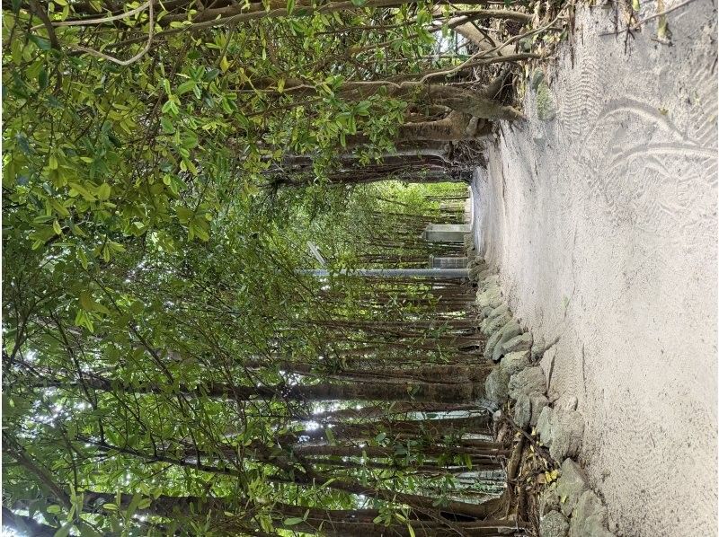 株式会社BLUE SEEK のギャラリー