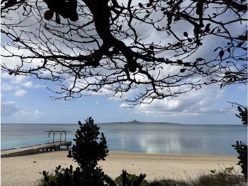 株式会社BLUE SEEK のギャラリー