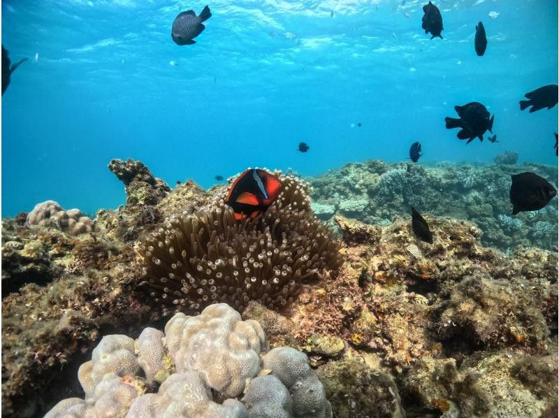 株式会社BLUE SEEK のギャラリー