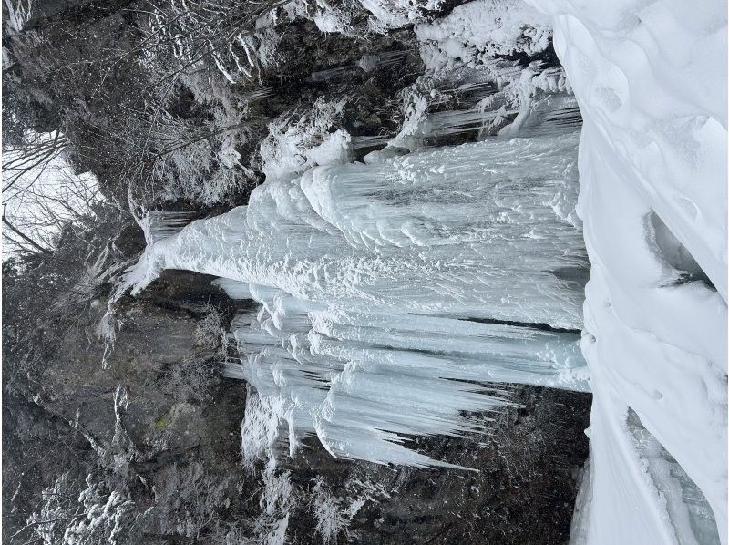 株式会社日光自然博物館 のギャラリー