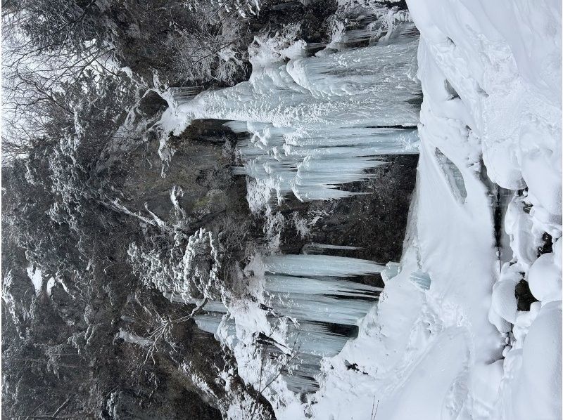 株式会社日光自然博物館 のギャラリー