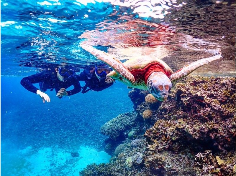 宮古島 ADVENTURE PiPi（ピピ） のギャラリー