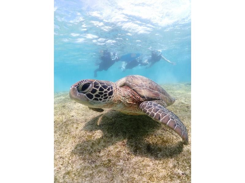 SUNSHINE MARIN 宮古島 のギャラリー