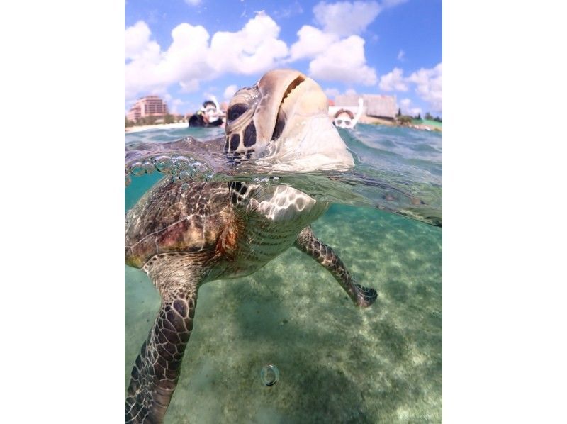 SUNSHINE MARIN 宮古島 のギャラリー