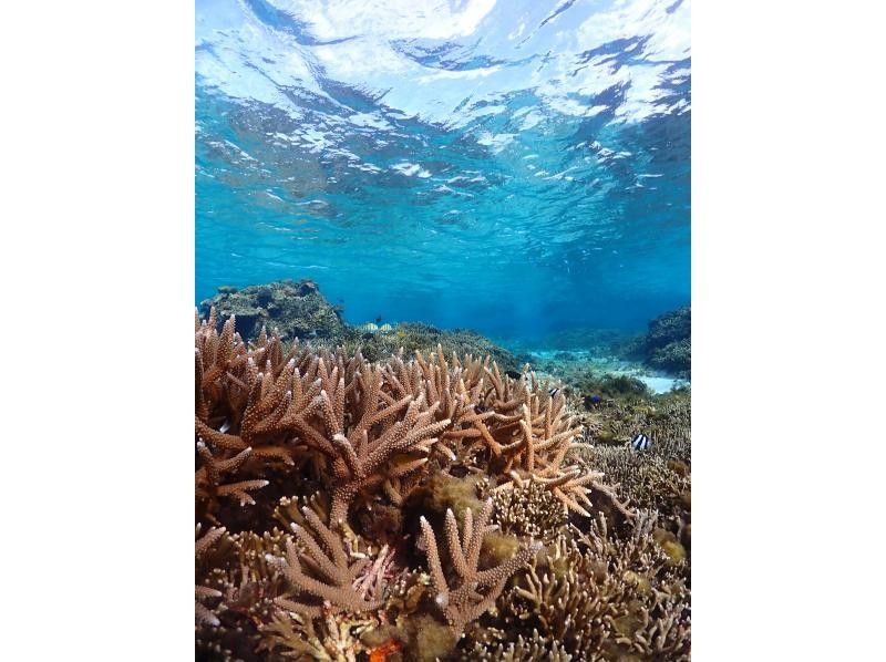 SUNSHINE MARIN 宮古島 のギャラリー