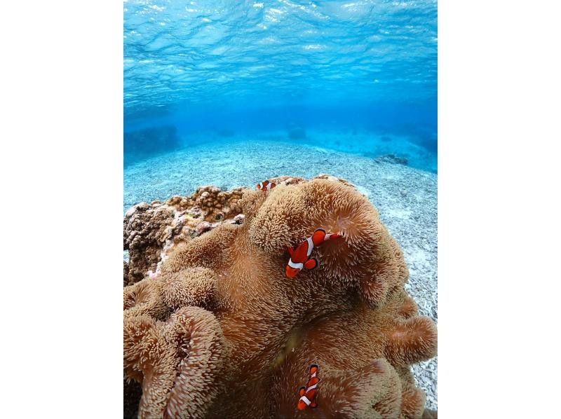 SUNSHINE MARIN 宮古島 のギャラリー