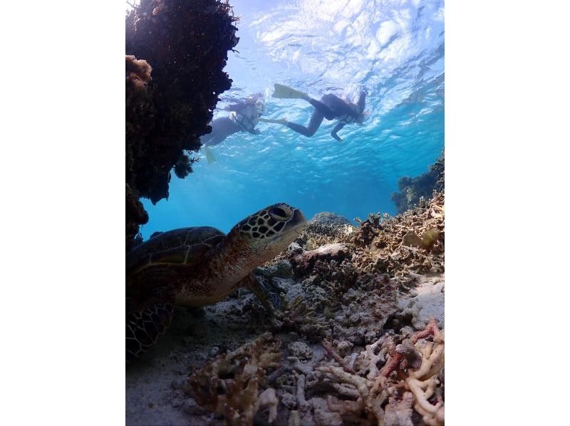 SUNSHINE MARIN 宮古島 のギャラリー