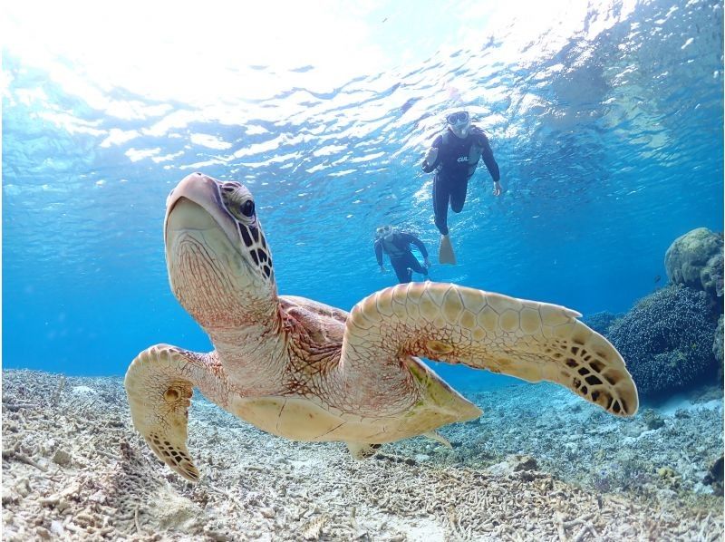 宮古島マリンショップSmiley のギャラリー