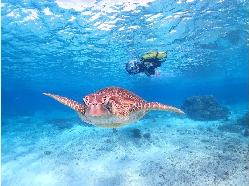 宮古島マリンショップSmiley のギャラリー