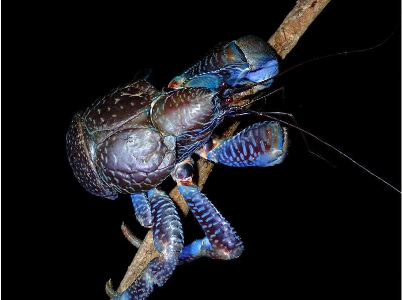 宮古島マリンショップSmiley のギャラリー