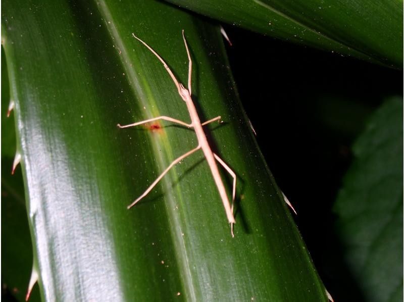 宮古島マリンショップSmiley のギャラリー