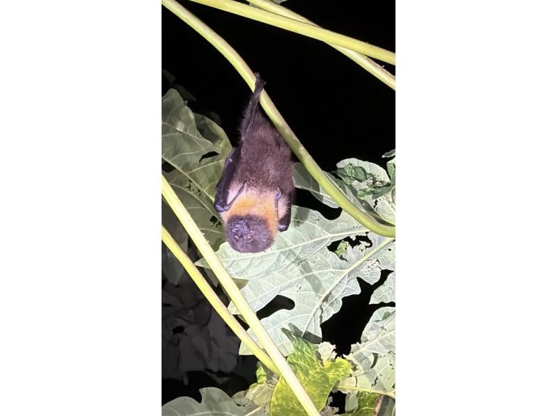 宮古島マリンショップSmiley のギャラリー