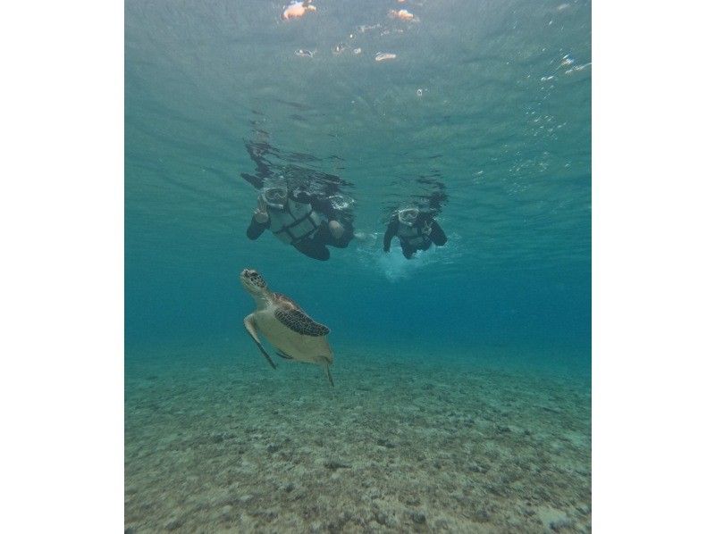 宮古島マリン SUGAR3 のギャラリー