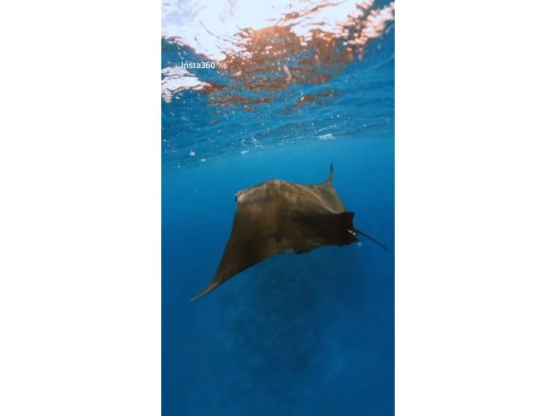 マリンショップヤビジ(MARINE SHOP YABIZI) のギャラリー