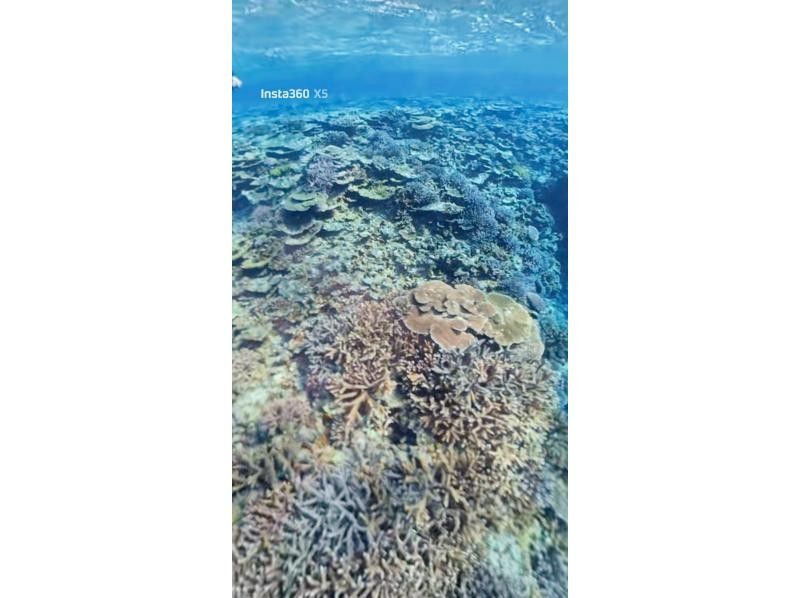 マリンショップヤビジ(MARINE SHOP YABIZI) のギャラリー