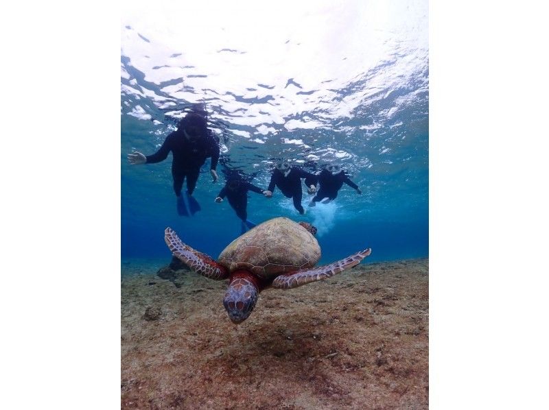 Nami宮古島 のギャラリー