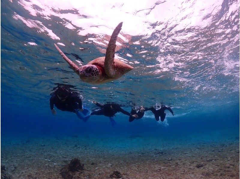 Nami宮古島 のギャラリー