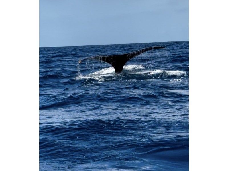 マリンクラブ ベリー那覇店 のギャラリー