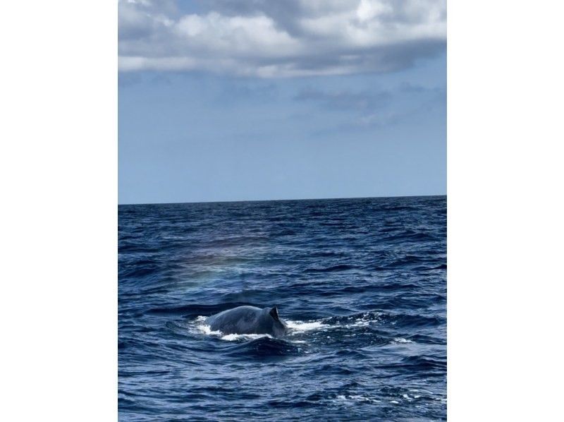 マリンクラブ ベリー那覇店 のギャラリー